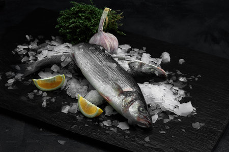 Raw fresh organic dorado or sea bream with lemon on ice cubes over black slate, stone or concrete...