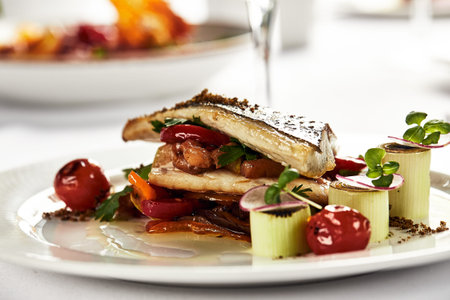 grilled sea bass with sauteed tomatoes, served with a potato ball on a white plate, sea bass fillet outline on a light backgroundの写真素材