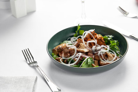 Mushrooms with onions and herbs, assorted pickled mushrooms in a plate on a light background,...