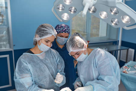 Concentrated Surgical team operating a patient in an operation theaterの写真素材