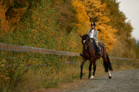 Beautiful brunette on a horse on the background of an autumn landscape. Horseback riding, active...