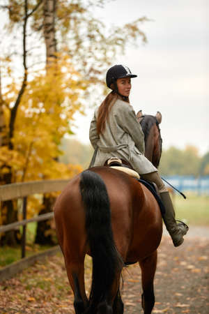 Autumn landscape, beautiful brunette girl with long hair posing with a red horse in the forest.の写真素材