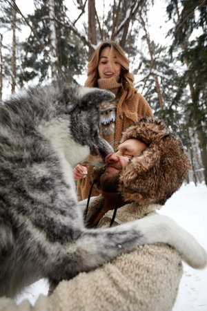 Happy young couple in winterwear playing with purebred siberian husky and having fun in snowbound pine forestの写真素材