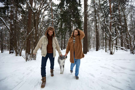 Happy young couple in winterwear playing with purebred siberian husky and having fun in snowbound pine forestの写真素材