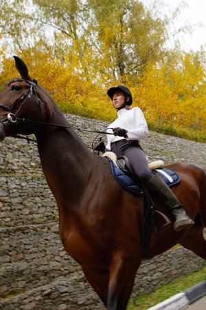 Beautiful brunette on a horse on the background of an autumn landscape. Horseback riding, active...