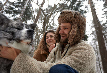 Happy young couple in winterwear playing with purebred siberian husky and having fun in snowbound pine forestの写真素材