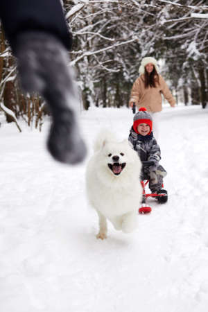 Family of mother, father and son having fun in snowy winter wood with cheerfull pet dog.の写真素材
