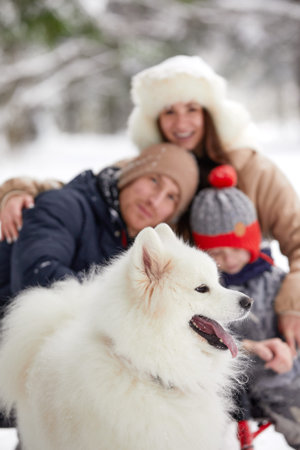 Family of mother, father and son having fun in snowy winter wood with cheerfull pet dog.の写真素材