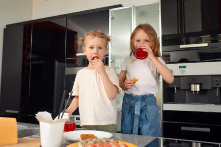 Two little girls siblings having fun and eating on the kitchen at home with japanese food.の写真素材