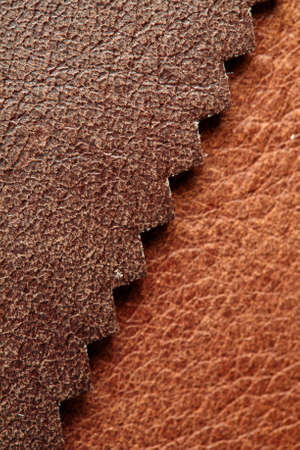 Sample of leather textile brown colors, background. Catalog and swatch tone of Interior fabric for furniture, closeup. Collection of multicolored cloth with skin pattern, macro.の写真素材