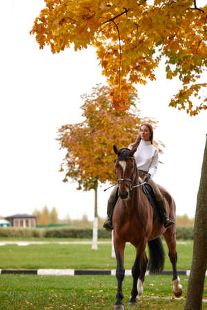 Cowgirl in a cowboy hat rides a horse on the background of the forest. Motion blur effect.の写真素材