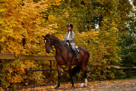 Portrait of a pretty young woman with a brown horse riding autumn dayの写真素材