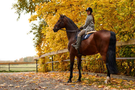 Cowgirl in a cowboy hat rides a horse on the background of the forest. Motion blur effect.の写真素材