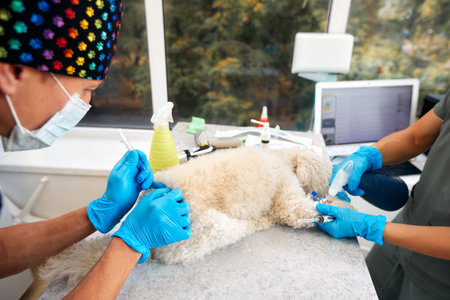 Close-up of male veterinarian giving injection of medication to dog in clinic. Pet vaccination or...