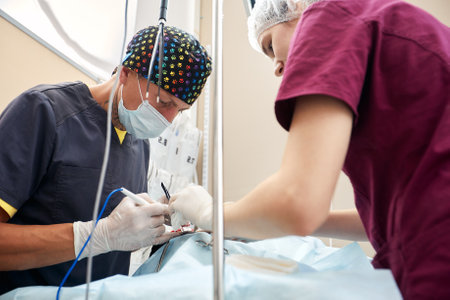 In a modern veterinary clinic, an operation is performed on an animal on the operating table in close-up. Veterinary clinic.の写真素材
