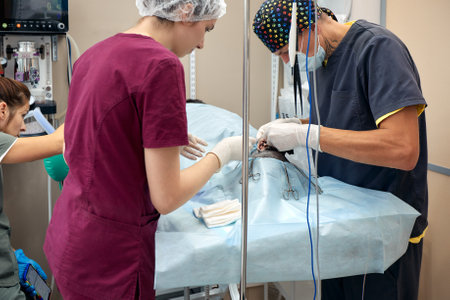 Pet operation in operating theatre with surgeon in vet surgeryの写真素材