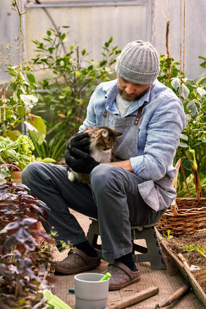 male farmer in hat holds on his hands a striped gray catの写真素材