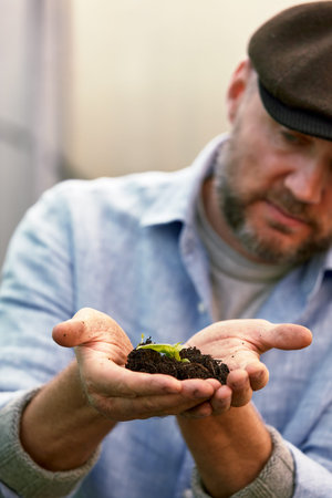 A male farmer holds a tree seedling in his hand to plant in the vegetable plot. Seedling plant...