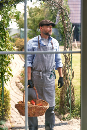 Close up of a mature male farmer is holding a basket with fresh harvested at the moment vegetables satisfied with his harvestの写真素材