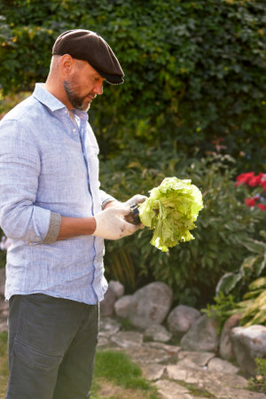 Portrait of handsome gardener wearing hat holds lettuce leaves. Organic gardening. The concept of harvesting and local farming.の写真素材