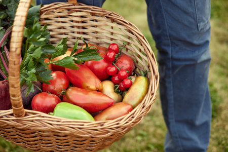 Close up of a mature male farmer is holding a basket with fresh harvested at the moment vegetables satisfied with his harvestの写真素材