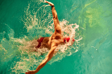 Male swimmer swimming in the pool, top view, butterfly style.の写真素材