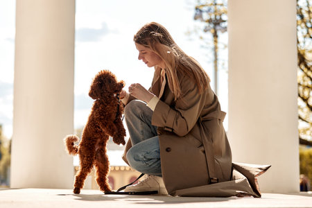 A young pretty blonde girl in a beige raincoat and jeans is squatting and training her cute pet red toy poodle while walking in the park. Education and training of pets.の写真素材
