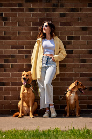 Charming young girl on a walk with two golden-colored dogs on a sunny day against a brick wall....