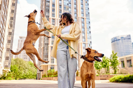 Charming young smiling girl on a walk with two golden-colored dogs outdoors on a sunny day. The girl...