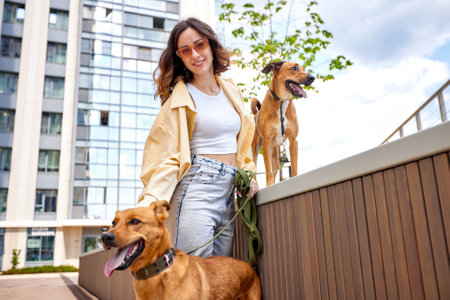 A charming young smiling girl walks with two golden-colored dogs on a city street on a sunny day. Love and affection between owner and pet. Raising pets taken from a shelter.の写真素材