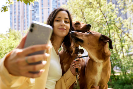 Charming young smiling girl with two golden dogs on a walk on a sunny day. The girl plays with pets...