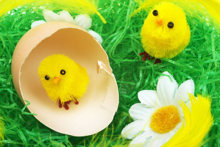 Easter chickens on grass
