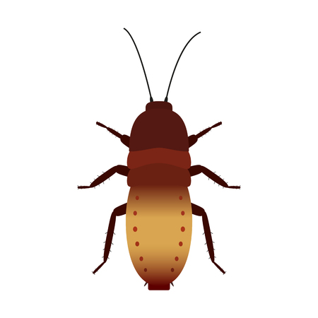 Vector colored cockroachのイラスト素材