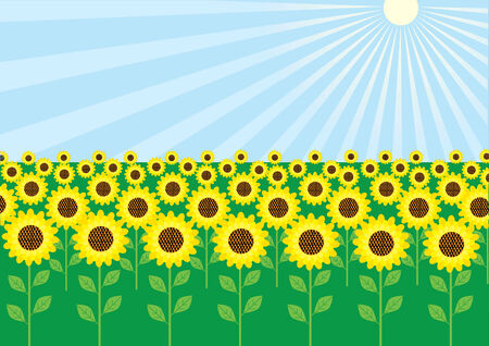 field of sunflowers in sun dayのイラスト素材