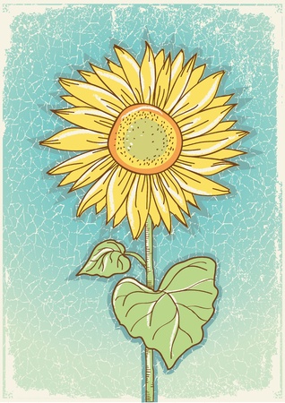 Sunflower .Vector vintage postcard with grunge elements のイラスト素材