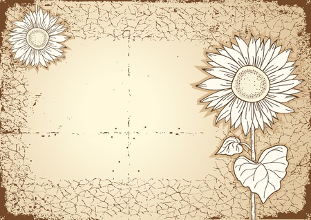 Sunflower .Vector vintage postcard with grunge elements のイラスト素材