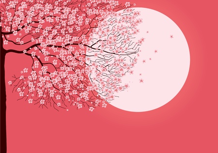 Illustration of sakura branches.のイラスト素材