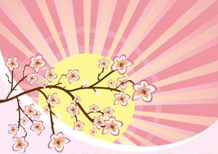 Illustration of sakura branchesのイラスト素材