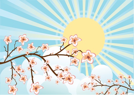 Illustration of sakura branchesのイラスト素材