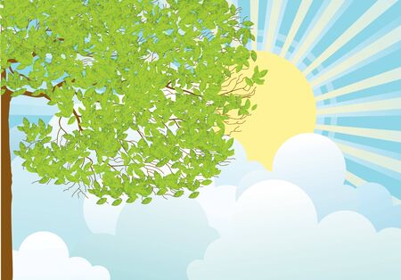 Tree  with green leaves in summer dayのイラスト素材