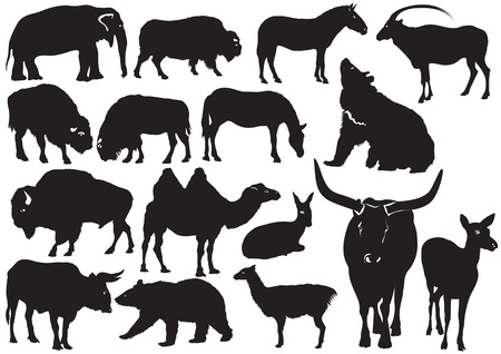 Wild animals のイラスト素材