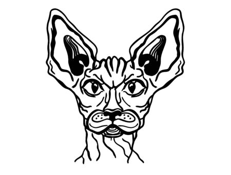 Cat sphinx portrait. Vector cat animal hand drawn illustration isolated on white for designのイラスト素材