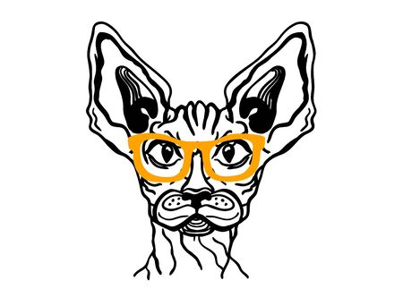 Cat sphynx in glasses. Vector printable cat animal with gold sunglasses isolated on whiteのイラスト素材