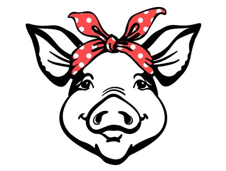 Pig head with red bandana. Farm animal. Vector graphic illustration isolated on white. Pig portrait printable fileのイラスト素材
