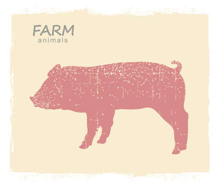 Pig Farm animal silhouette. Vector vintage pig on old paper background for design.のイラスト素材