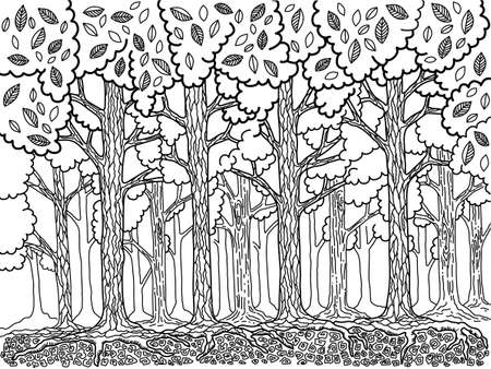 Forest. Vector hand drawn trees in summer day isolated on white. Forest graphic scetch illustrationのイラスト素材