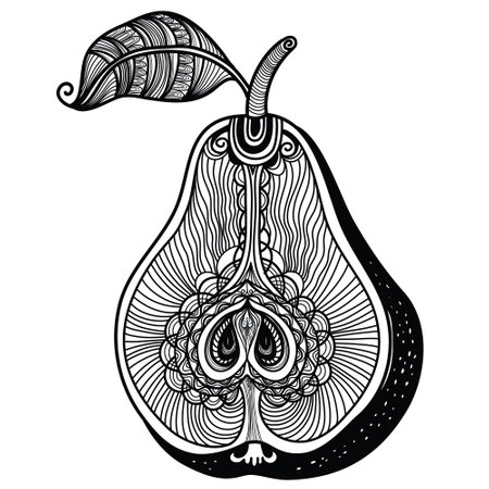 Pear vector illustration. Vector hand drawn abstract pear symbol isolated on white. Fresh tropical food black and white illustration.のイラスト素材