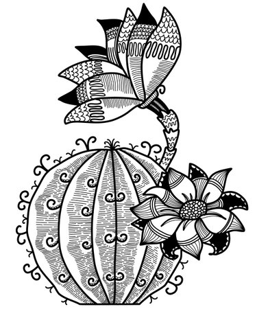 Cactus plant vector illustration. Hand drawn succulent with big flowers in pot decorative line style abstract design for print or coloring book.のイラスト素材