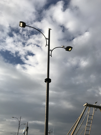 Seagulls resting atop of a lamppostの写真素材