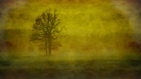 Lonely tree in fog